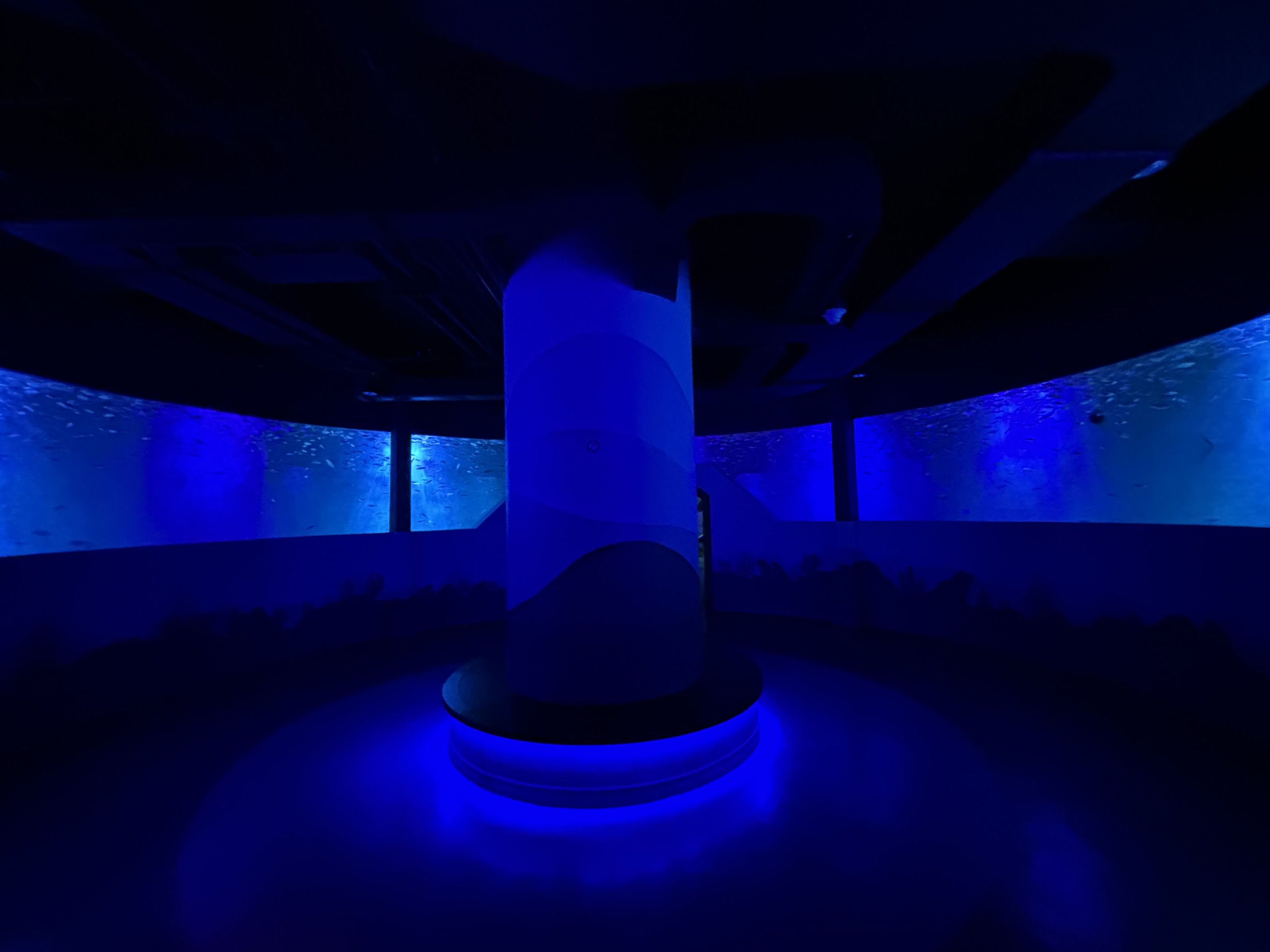 Schooling Fish Exhibit - BXSea Aquarium