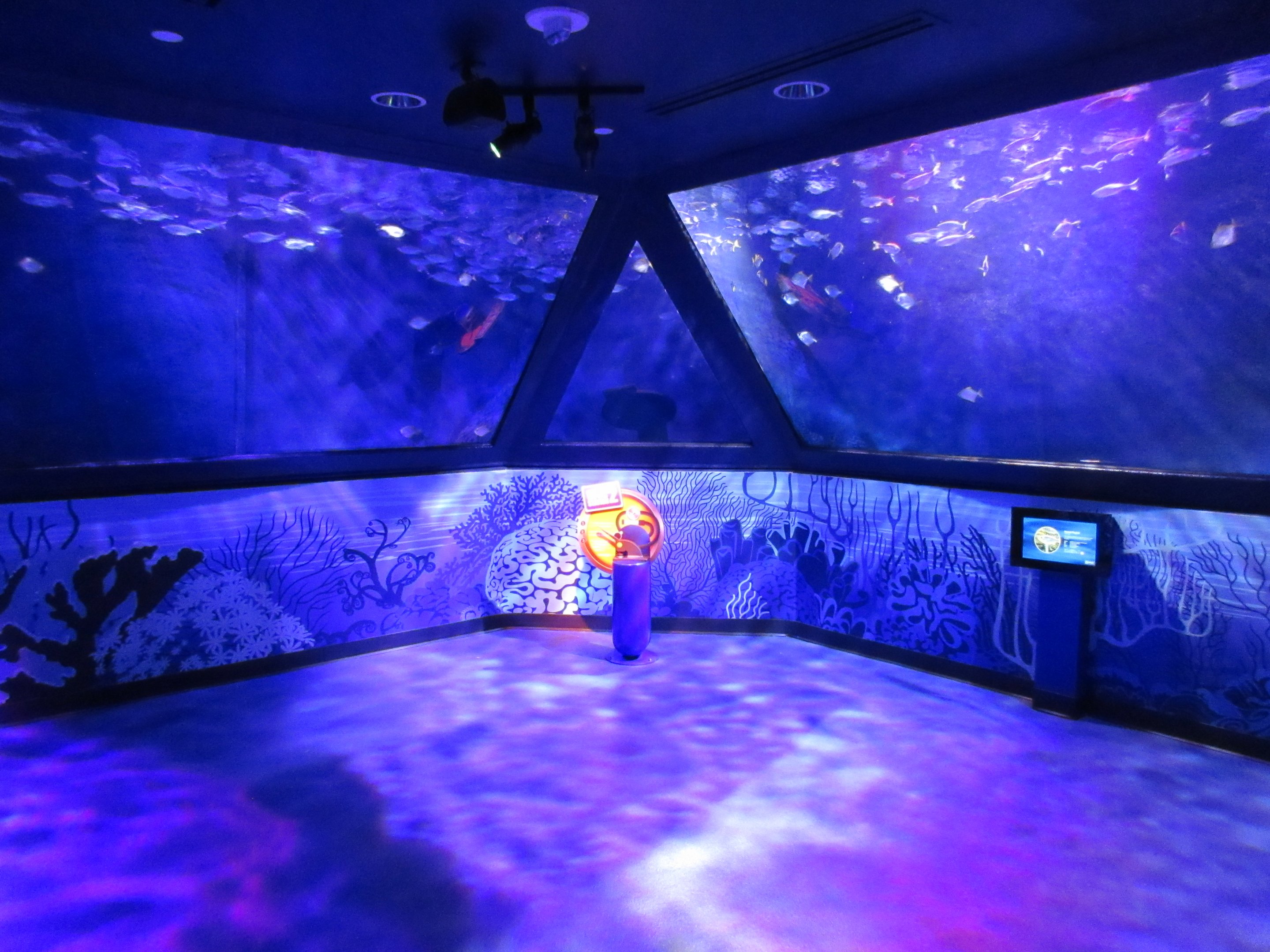 Schooling Fish Exhibit