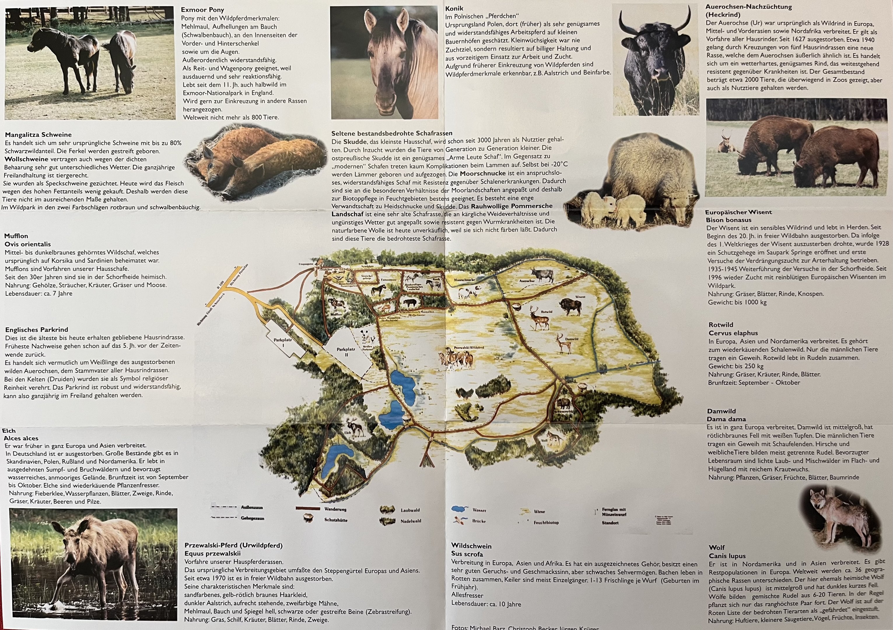 Schorfheide Wildlife Park - undated