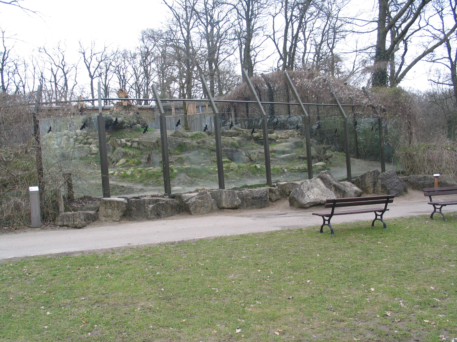 Schwerin Zoo -April 2006.