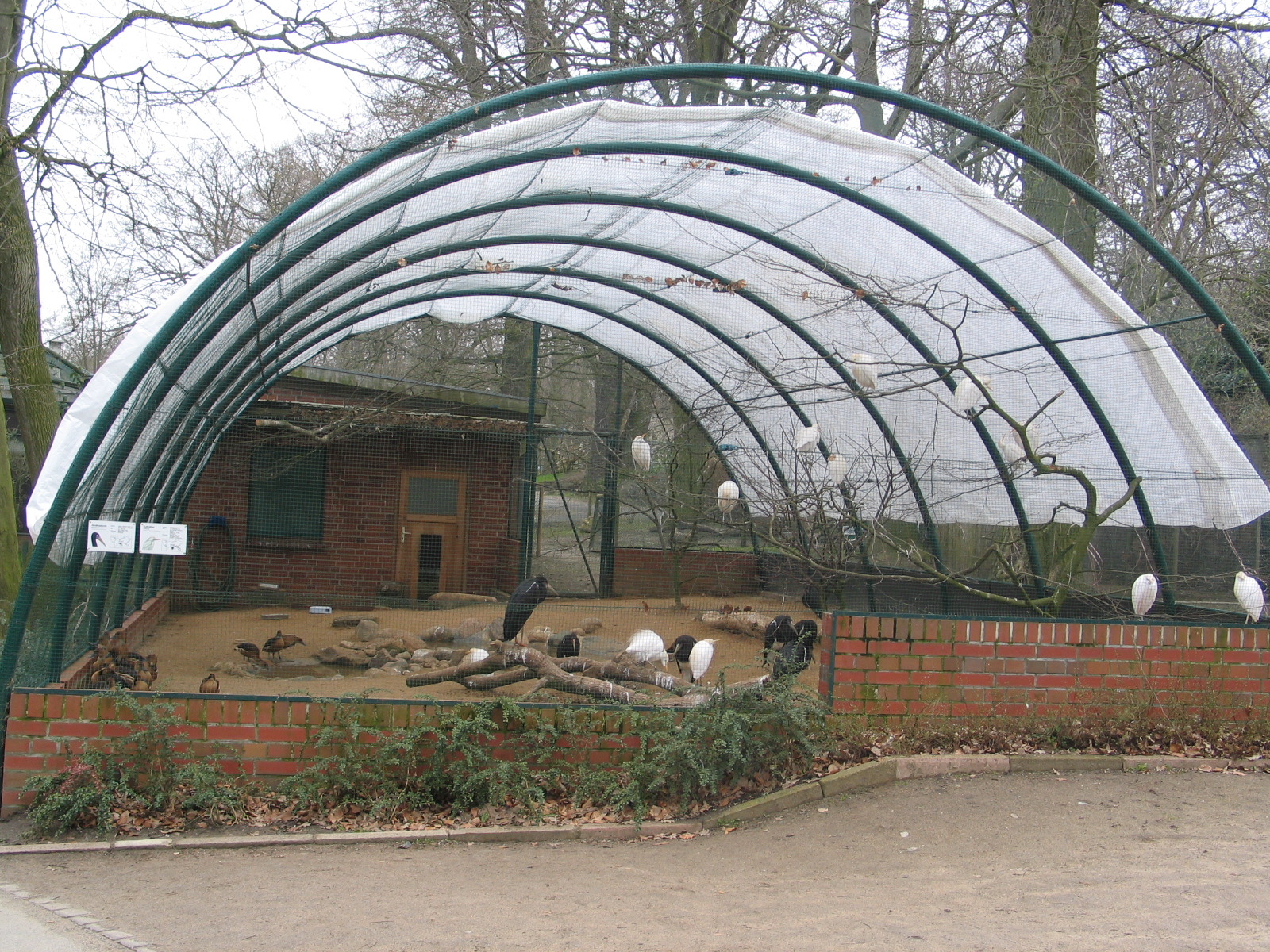 Schwerin zoo - April 2006