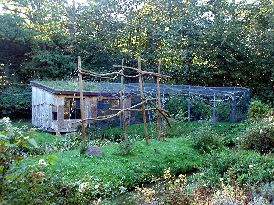 Schwerin Zoo - Gibbon exhibit