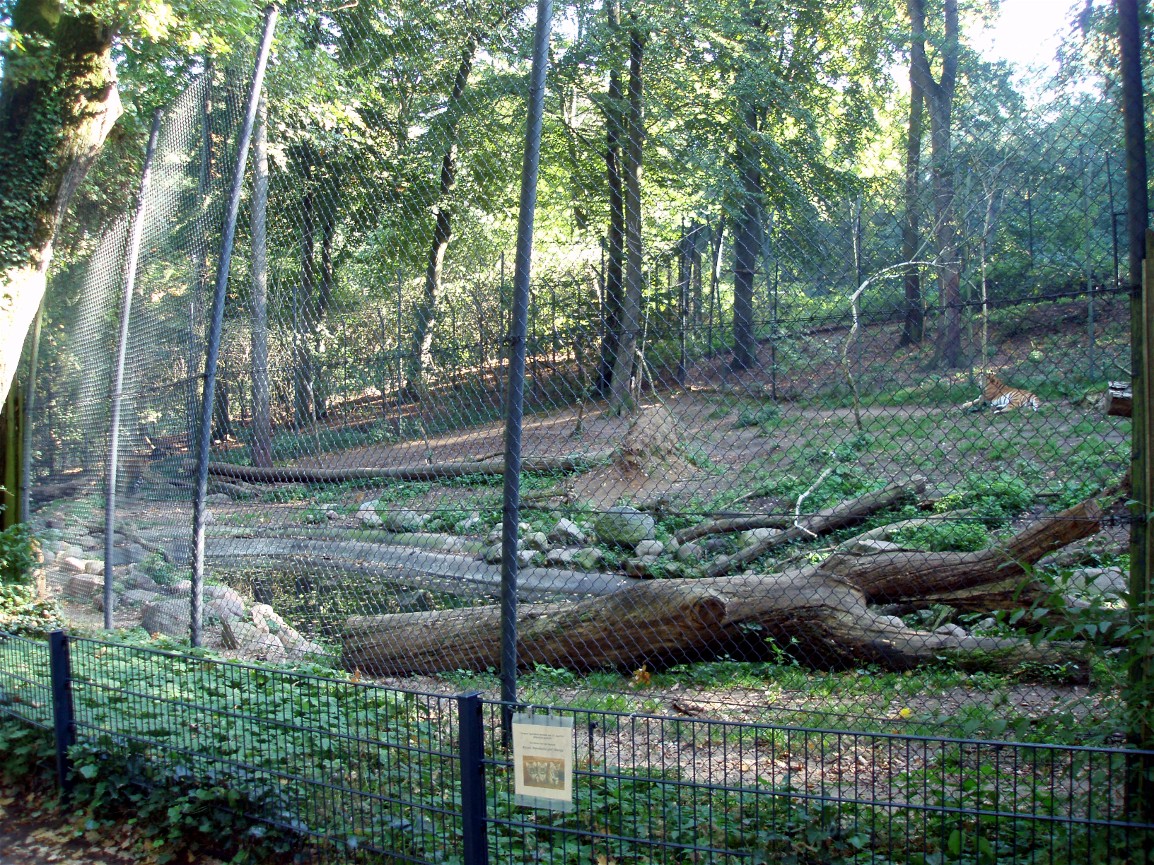 Schwerin Zoo - Tiger Mountain