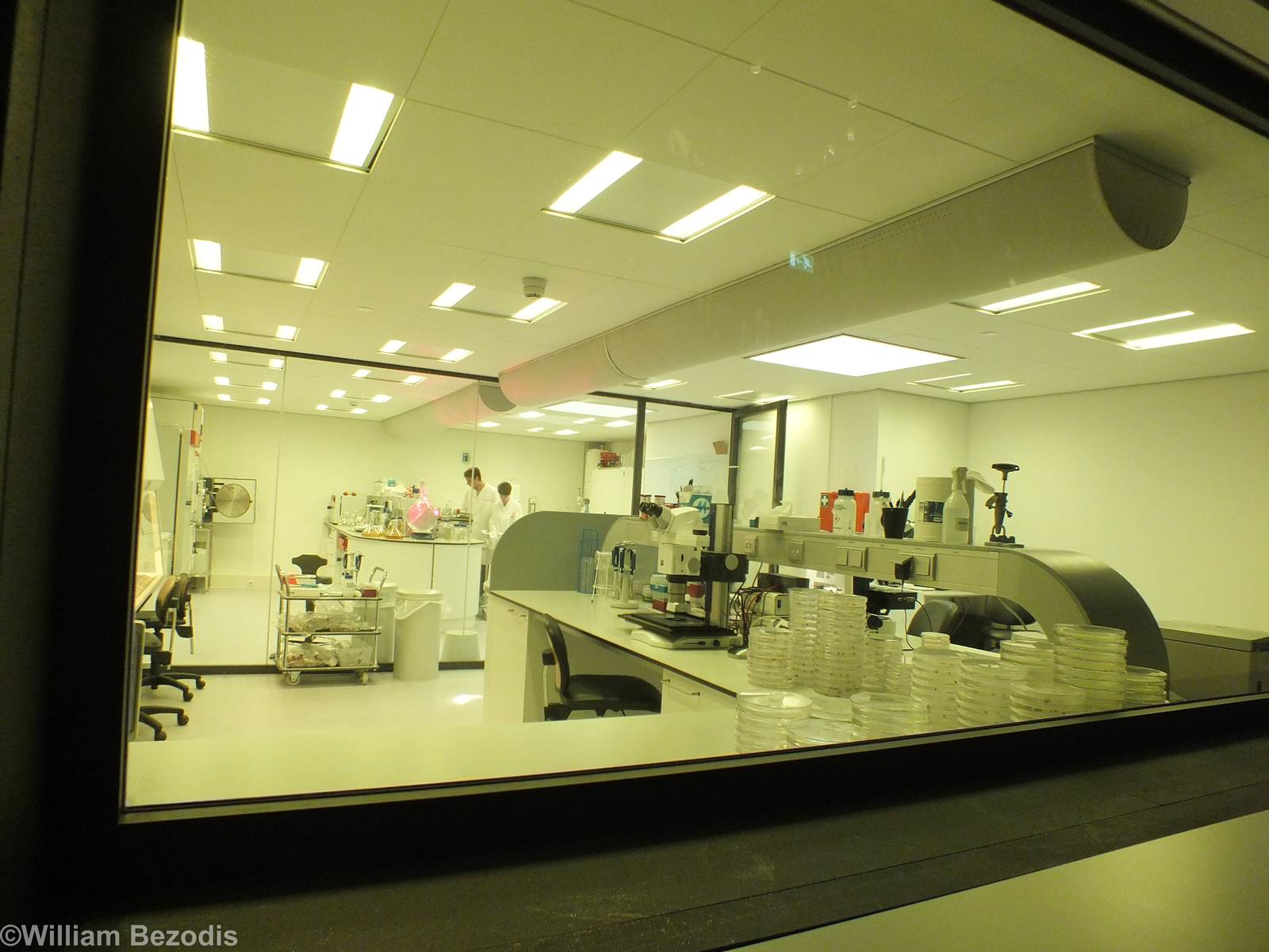 Science Lab - Micropia