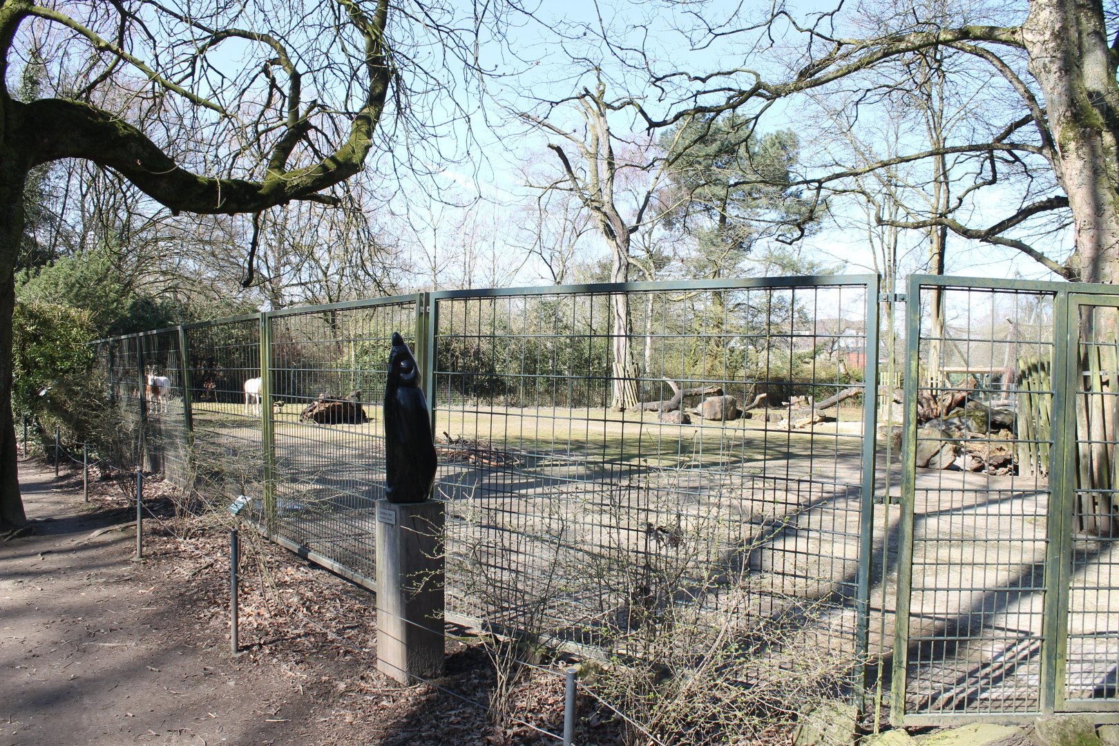 Scimitar-horned antilope-enclosure