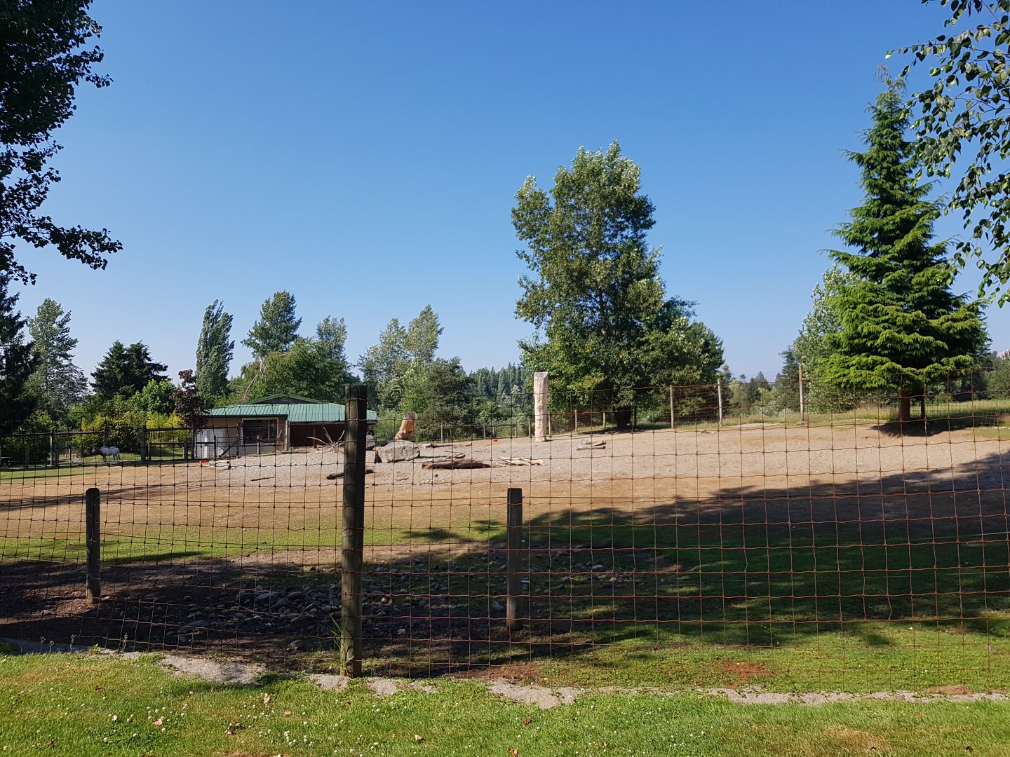 Scimitar-Horned Oryx Exhibit