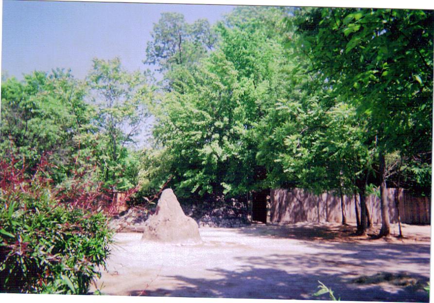 Scimitar-horned Oryx/ Grant's Zebra Yard