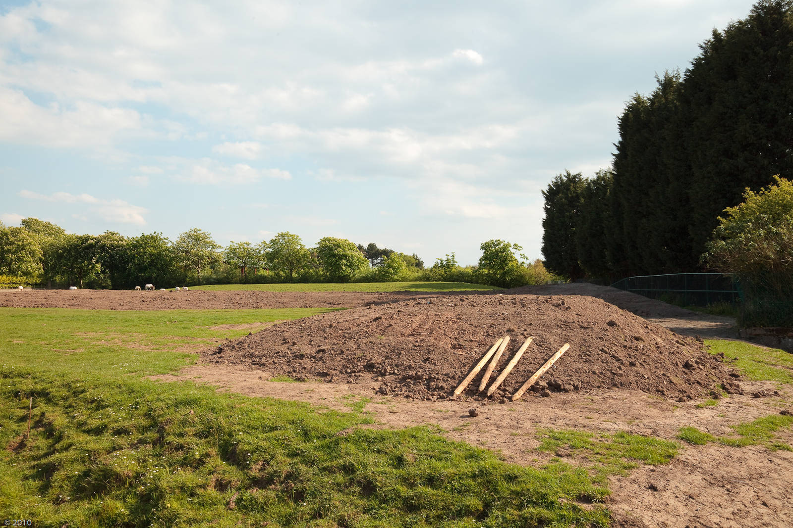 Scimitar-Horned Oryx / Grevy's Zebra Paddock