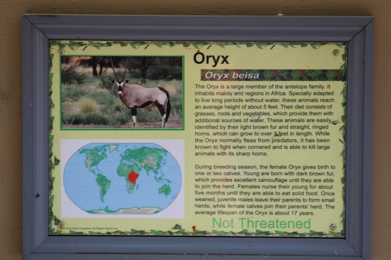 Scimitar-Horned Oryx Signage
