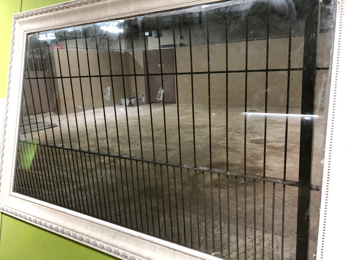 Scimitar-Horned Oryx & Sitatunga Indoor Holding