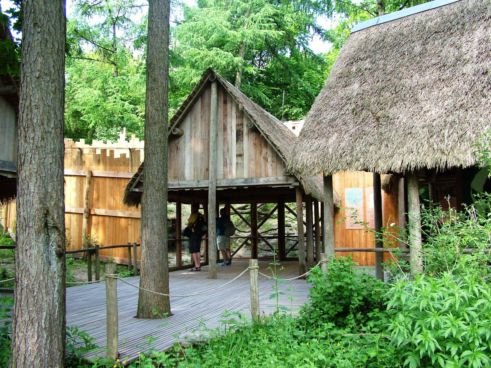 Sclater's Lemur Exhibit at Apenheul, 30/05/12