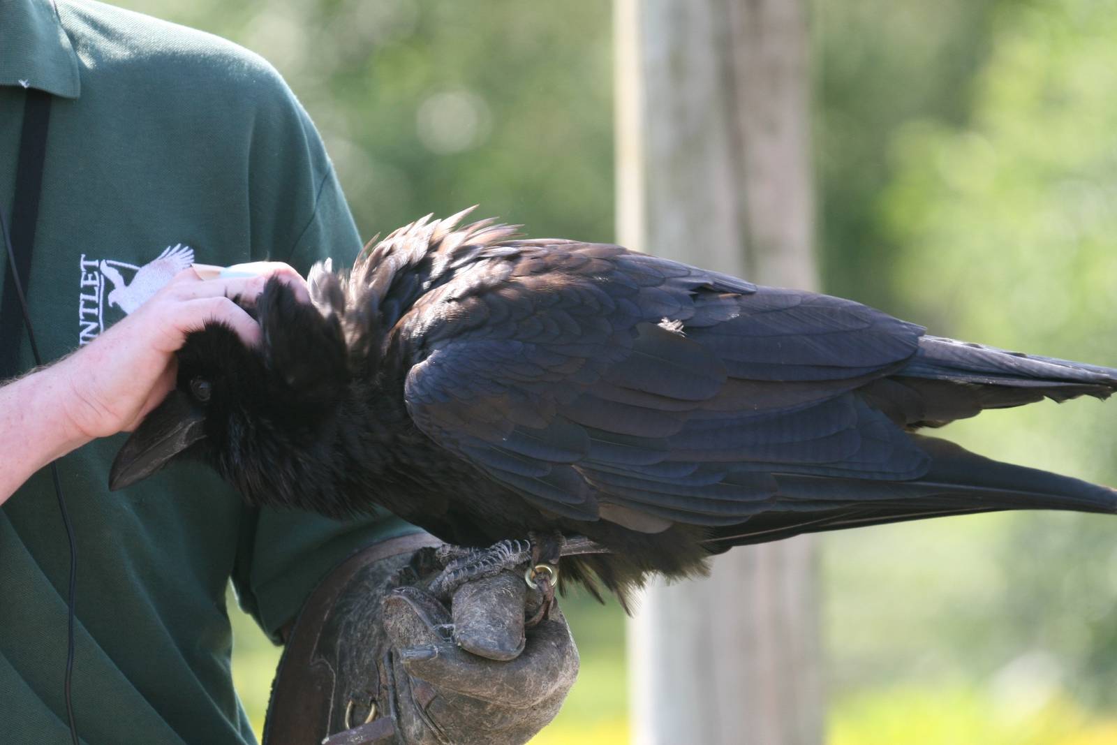 Scooby and his 'Dad', Danny