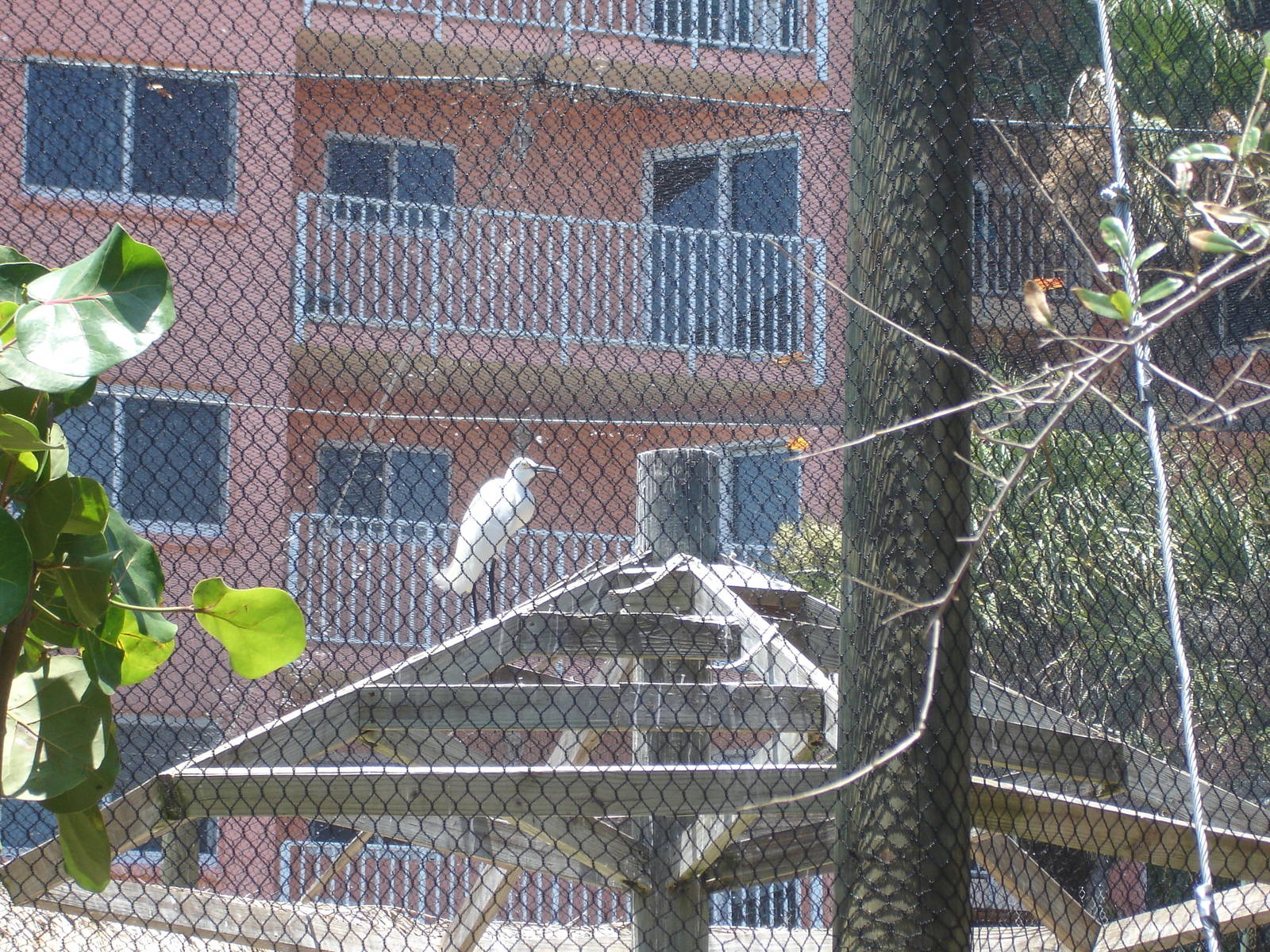 Scoping out apartments?