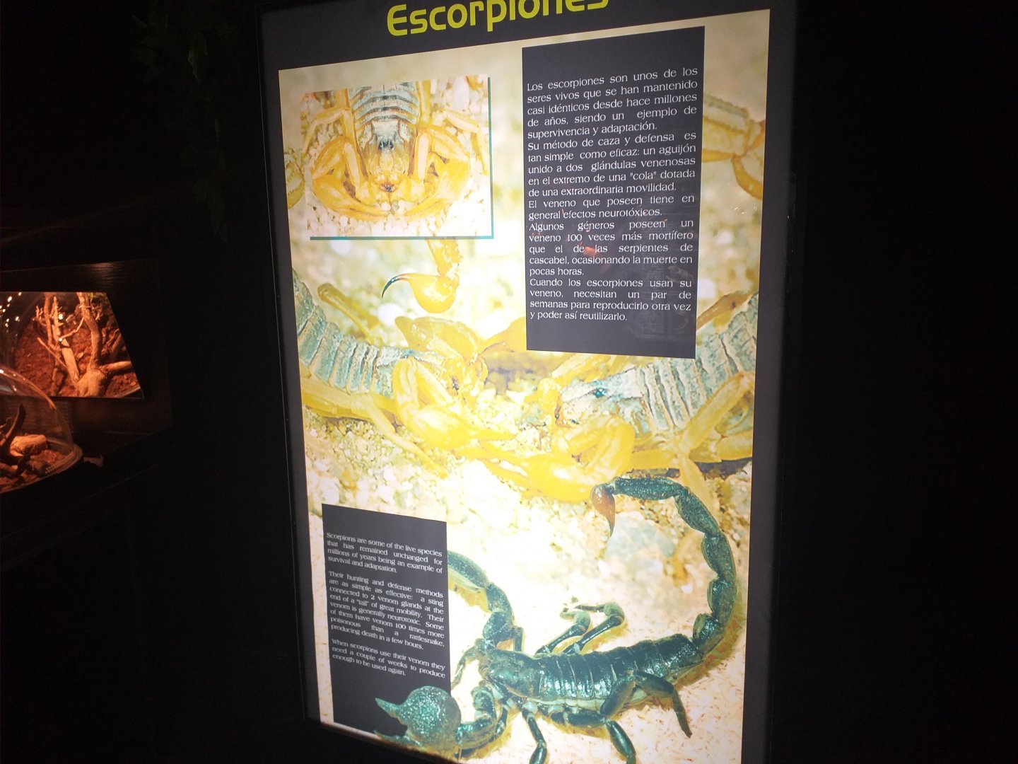 Scorpions sign -TerraNatura Benidorm (2021)