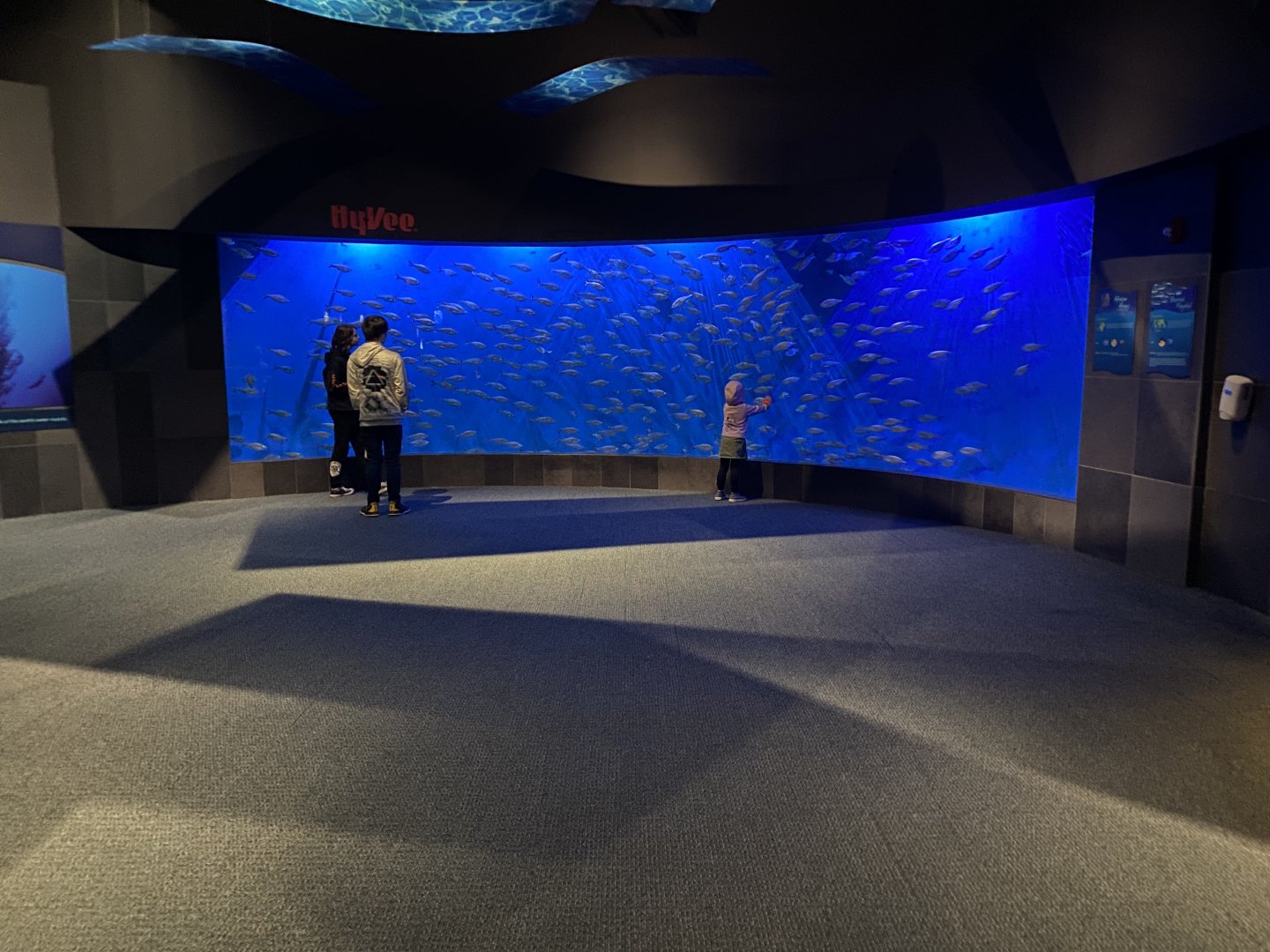 Scott Aquarium - Entrance Exhibit
