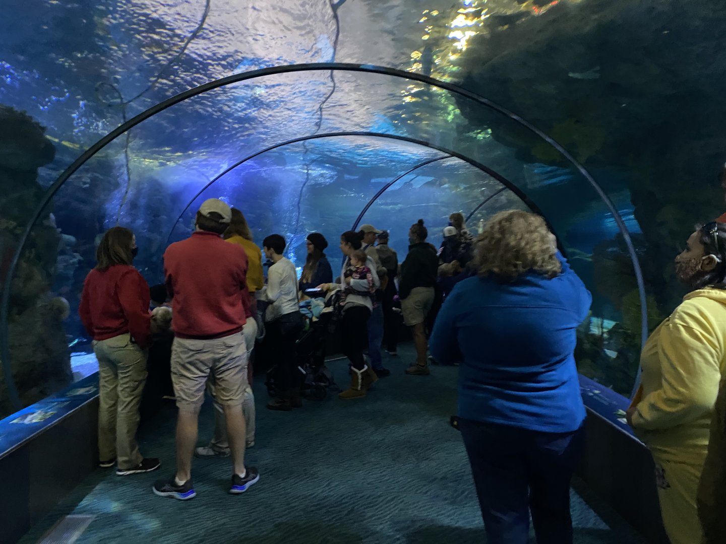 Scott Aquarium - Main Tank