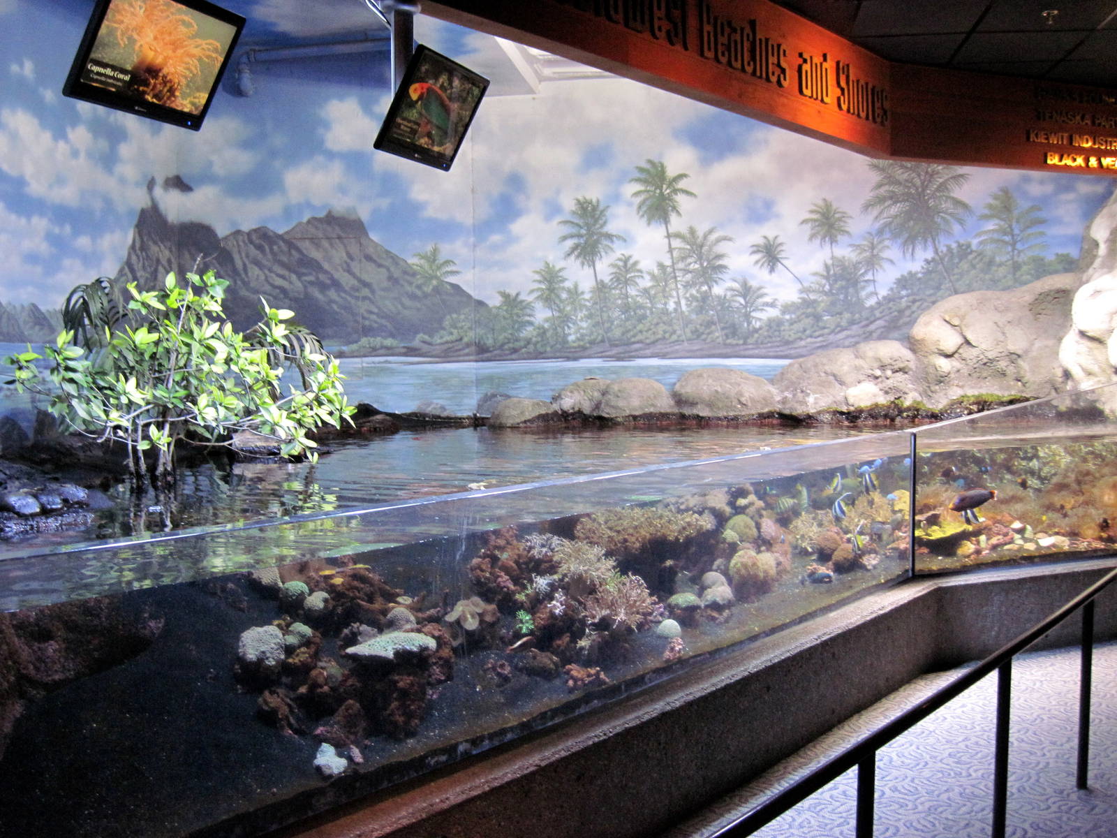 Scott Aquarium-Reed Exhibit