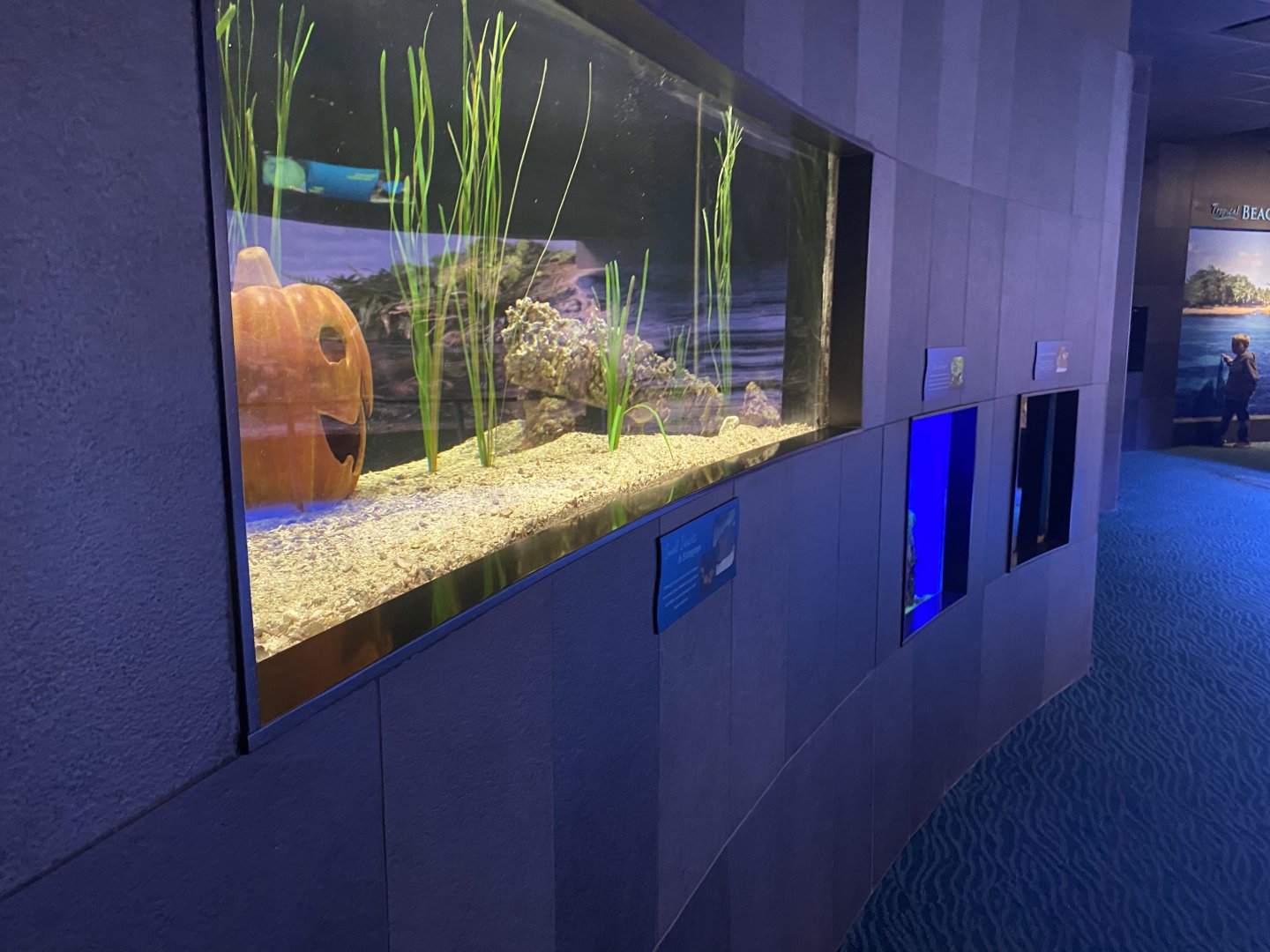 Scott Aquarium - Small Tanks