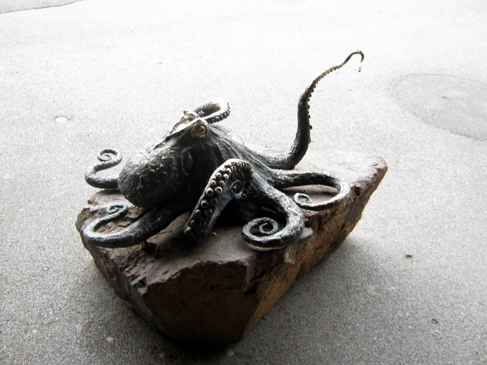 Scott Aquarium-Statuary