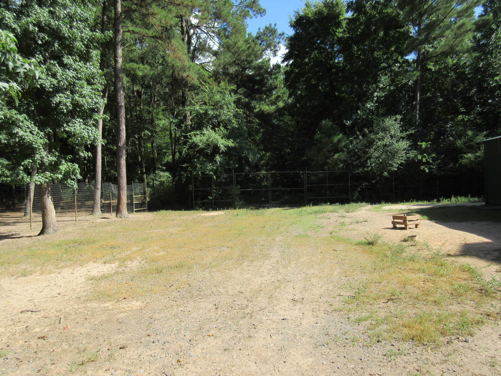 Scottish Highland Cattle Exhibit