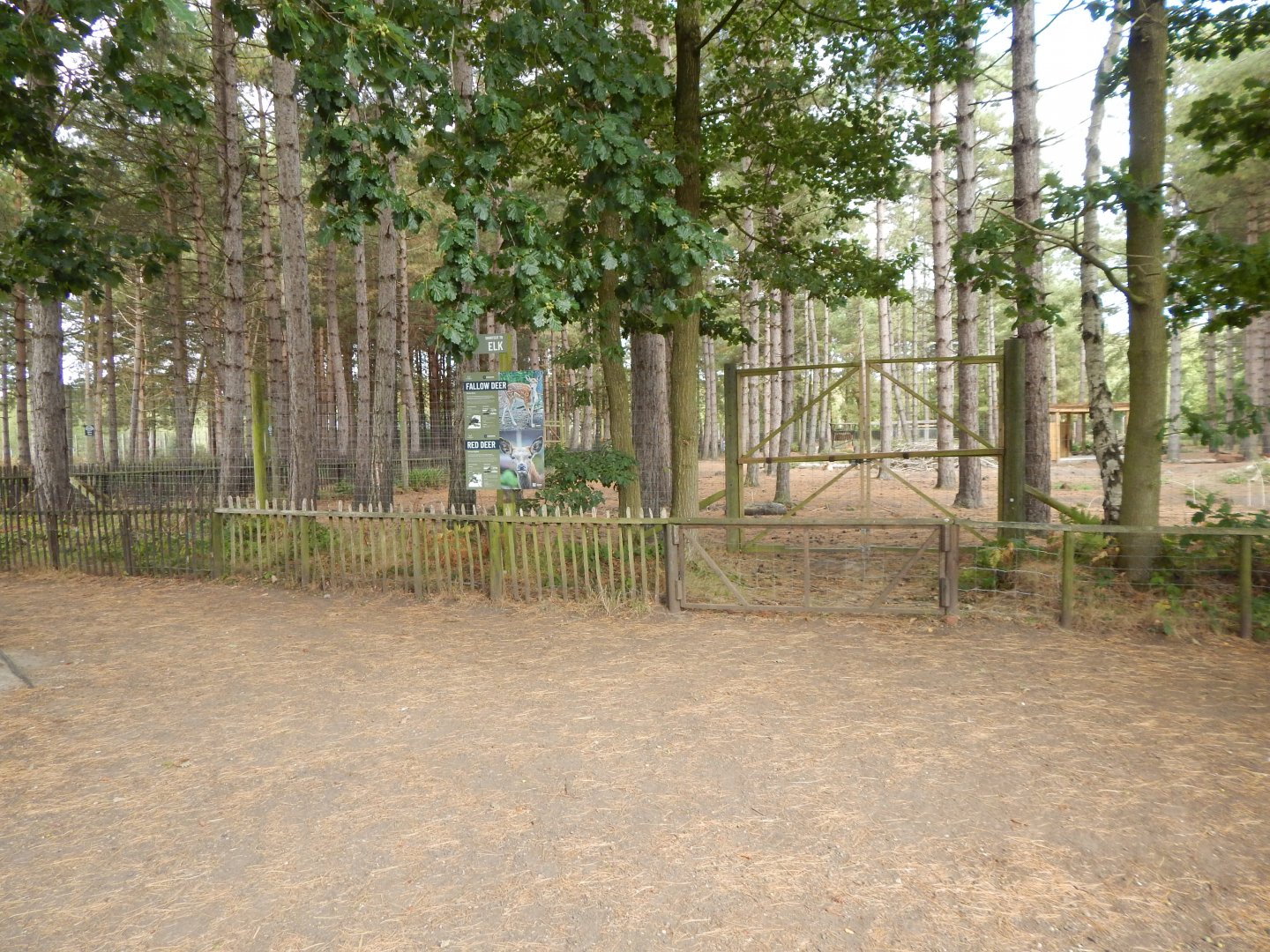 Scottish red deer and Fallow deer habitat 030924