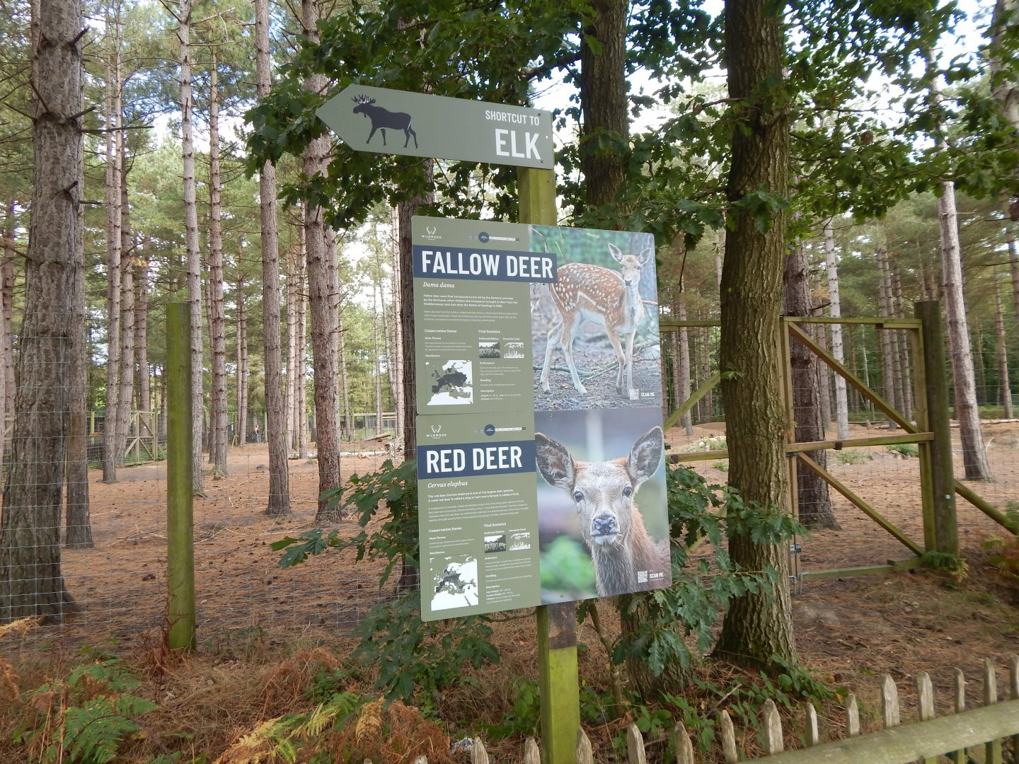 Scottish red deer and Fallow deer signage 030924