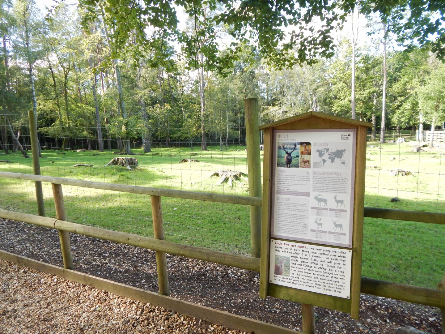 Scottish red deer habitat 130924
