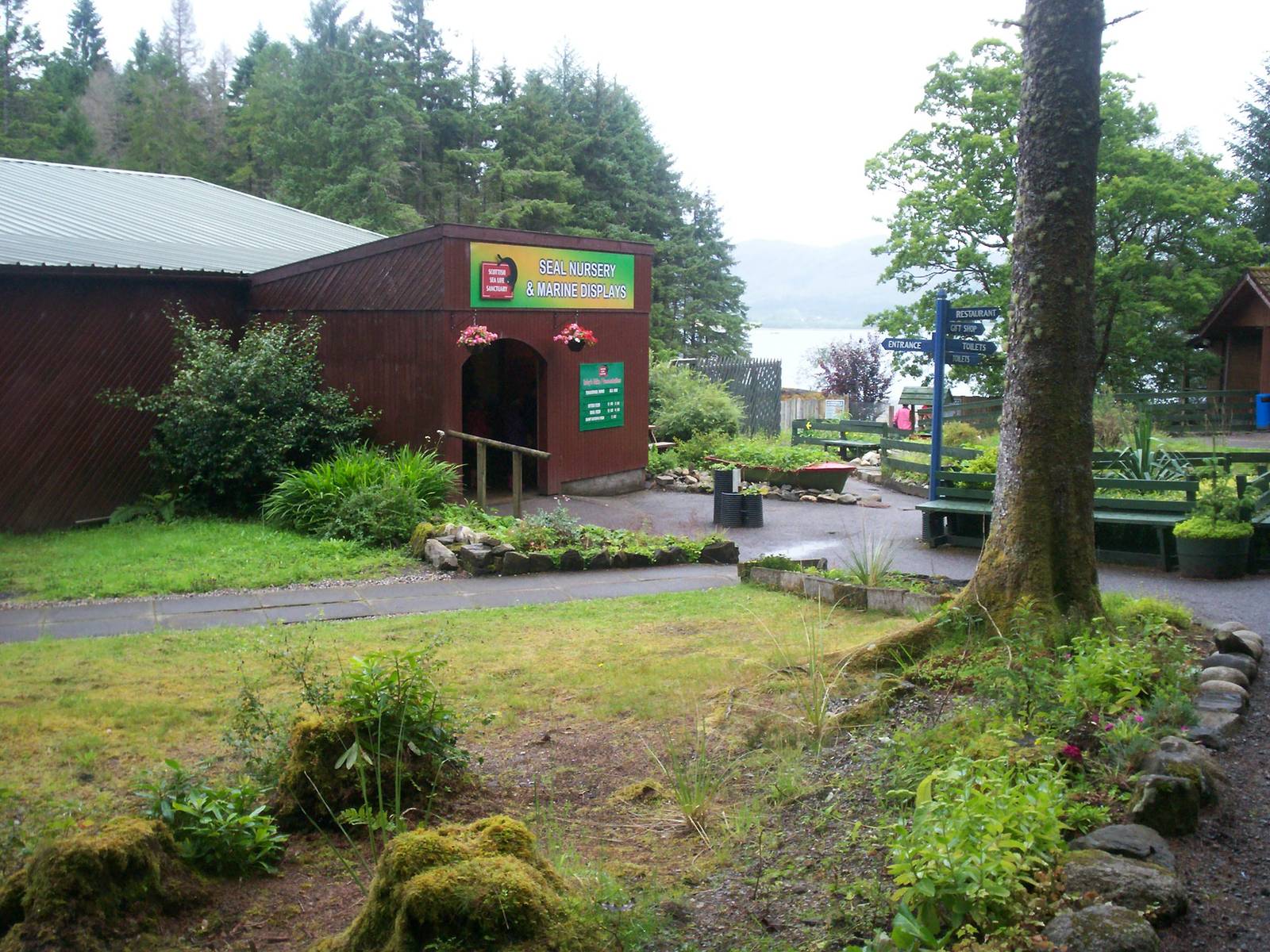 Scottish sea life centre, Oban 03/08/10
