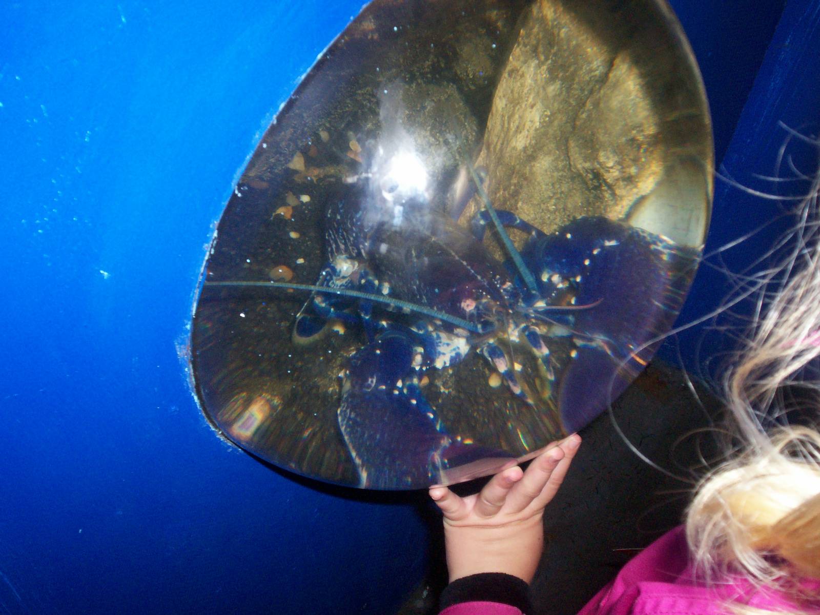 Scottish sea life centre, Oban 03/08/10