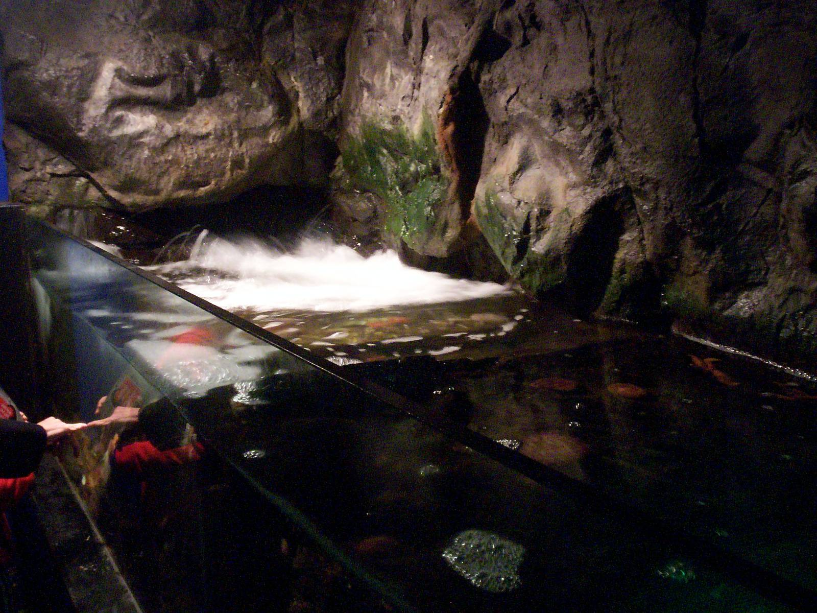 Scottish sea life centre, Oban 03/08/10