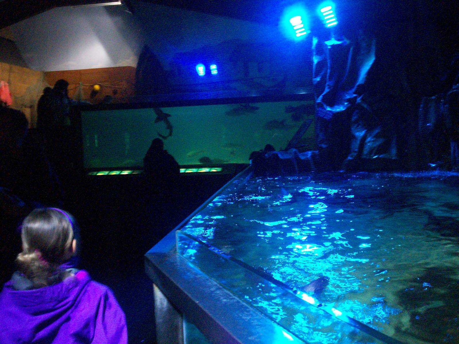 Scottish sea life centre, Oban 03/08/10