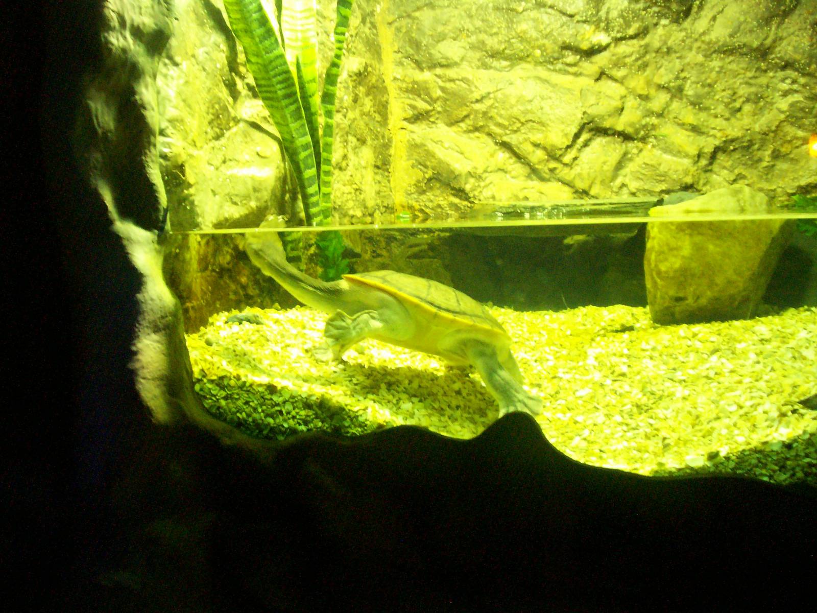 Scottish sea life centre, Oban 03/08/10