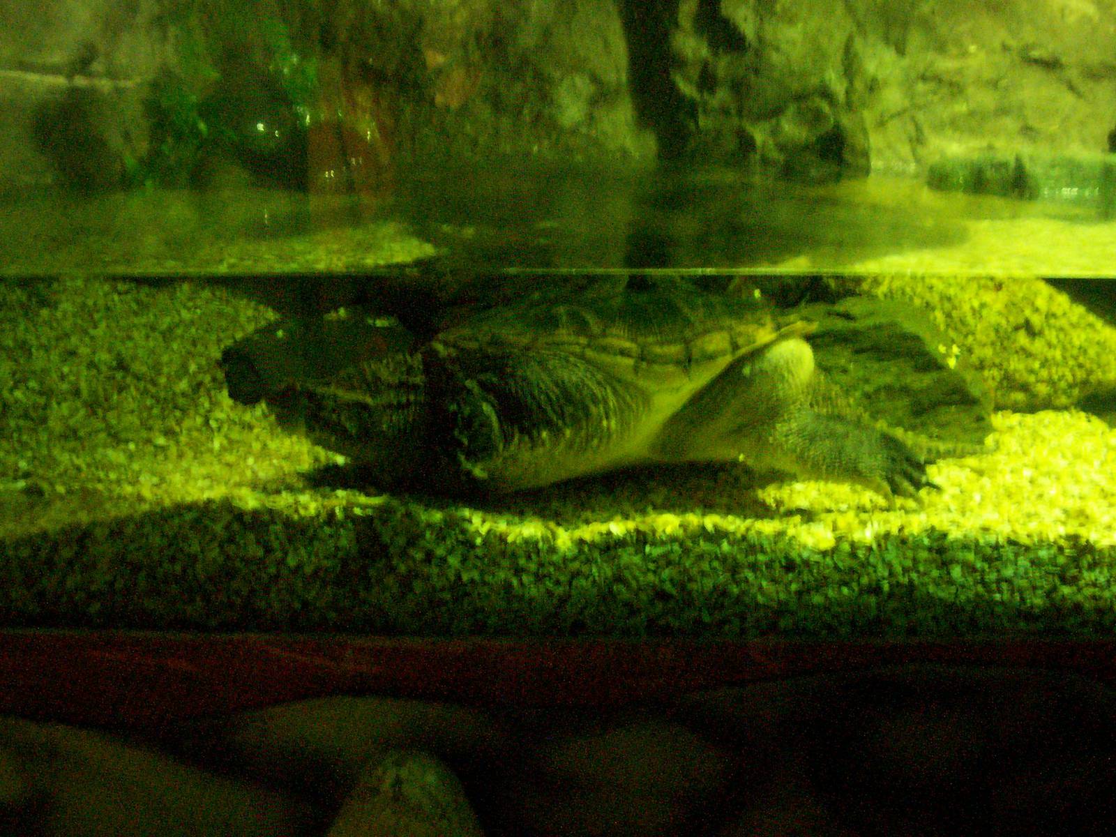 Scottish sea life centre, Oban 03/08/10