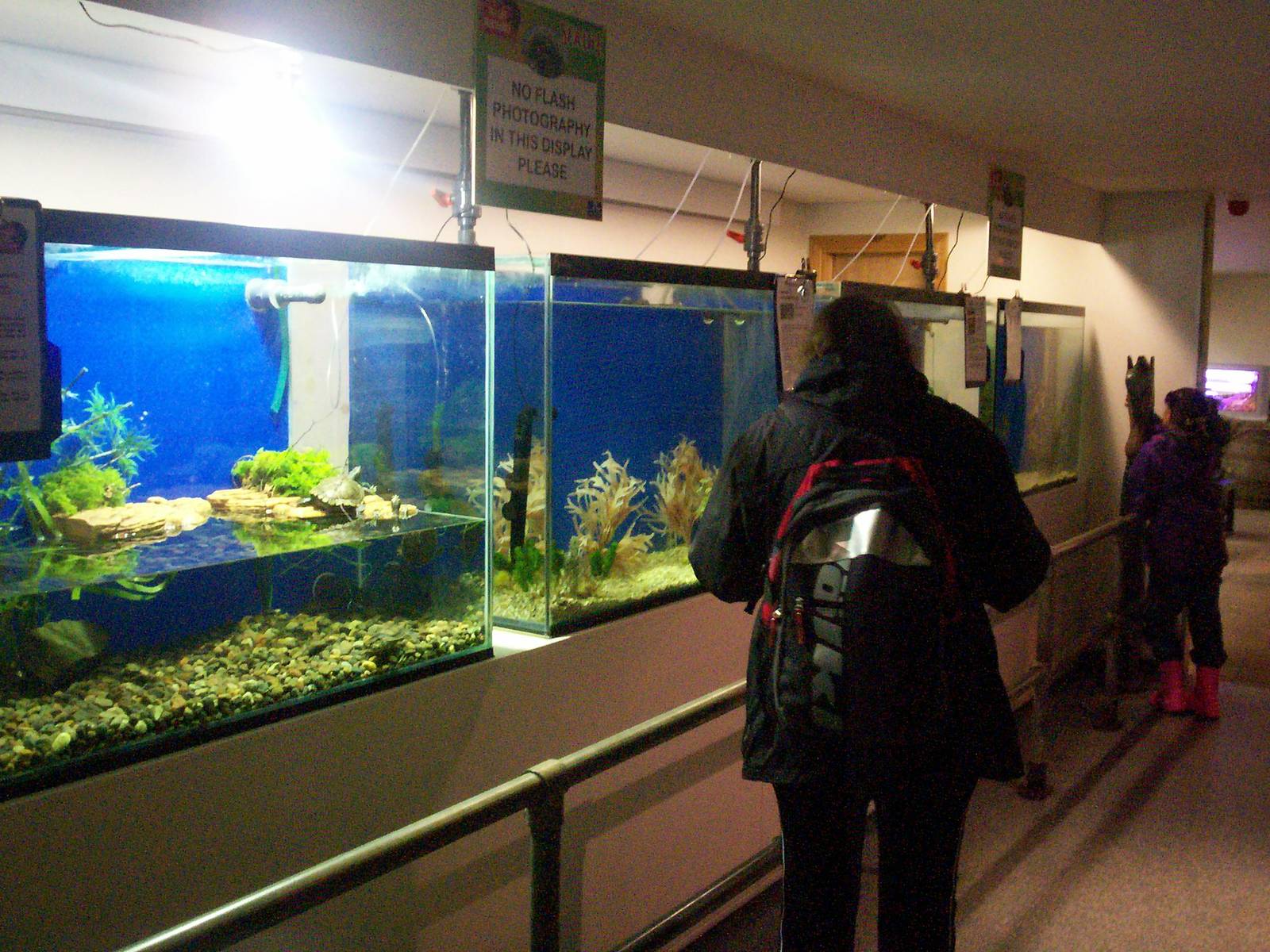 Scottish sea life centre, Oban 03/08/10