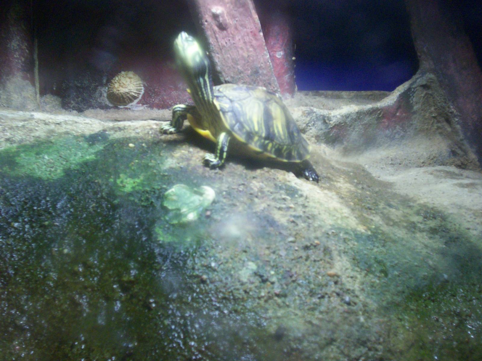 Scottish sea life centre, Oban 03/08/10