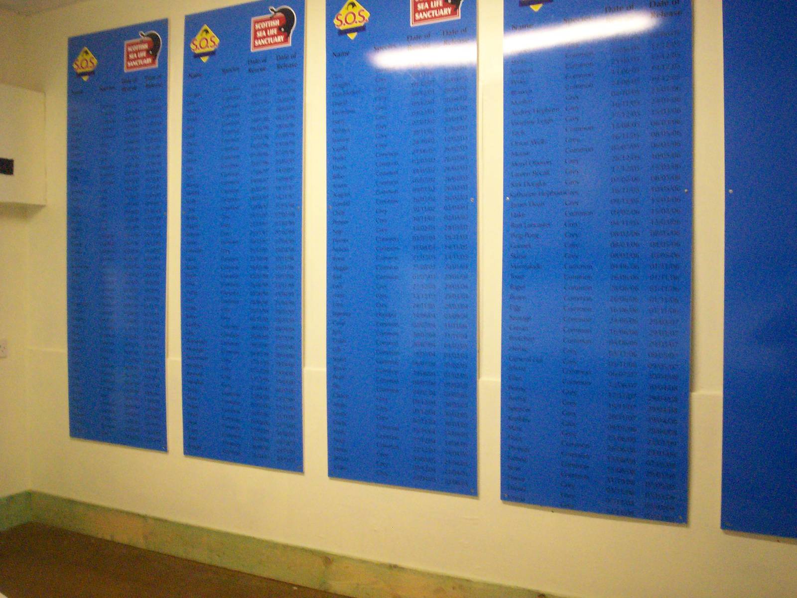 Scottish sea life centre, Oban 03/08/10