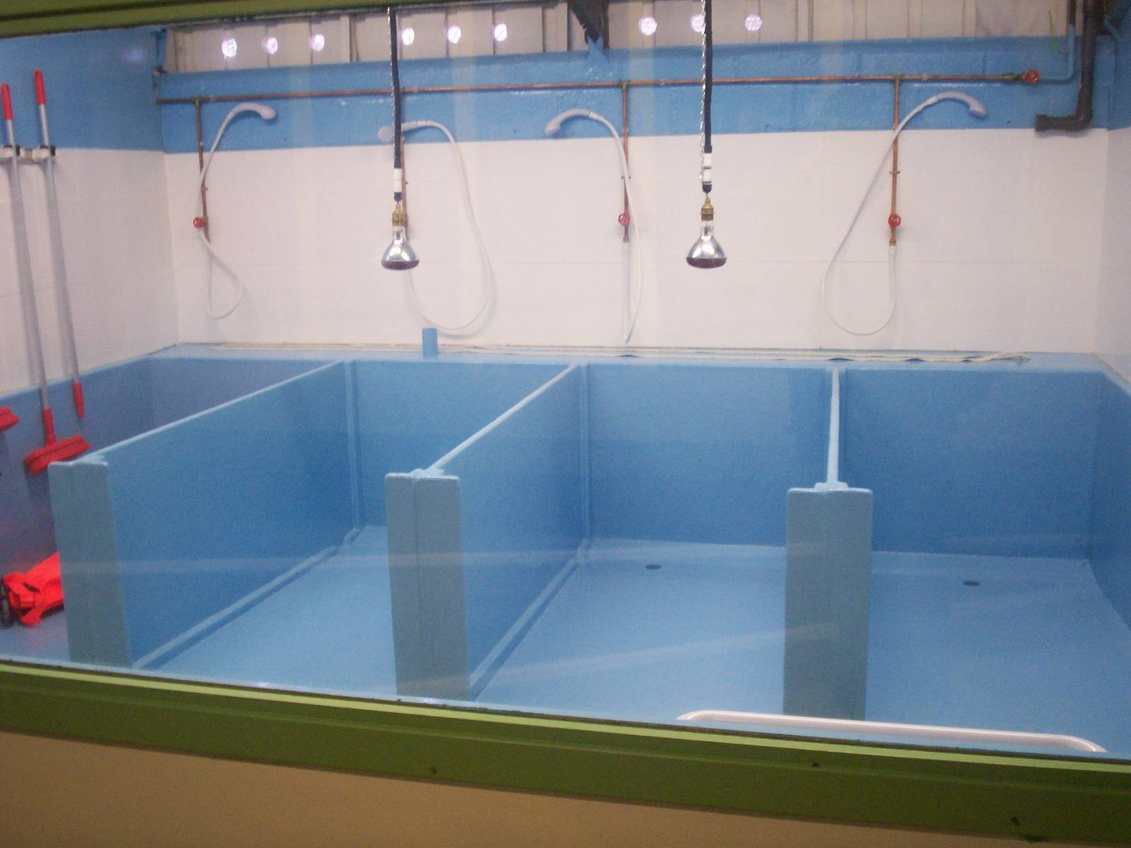 Scottish sea life centre, Oban 03/08/10