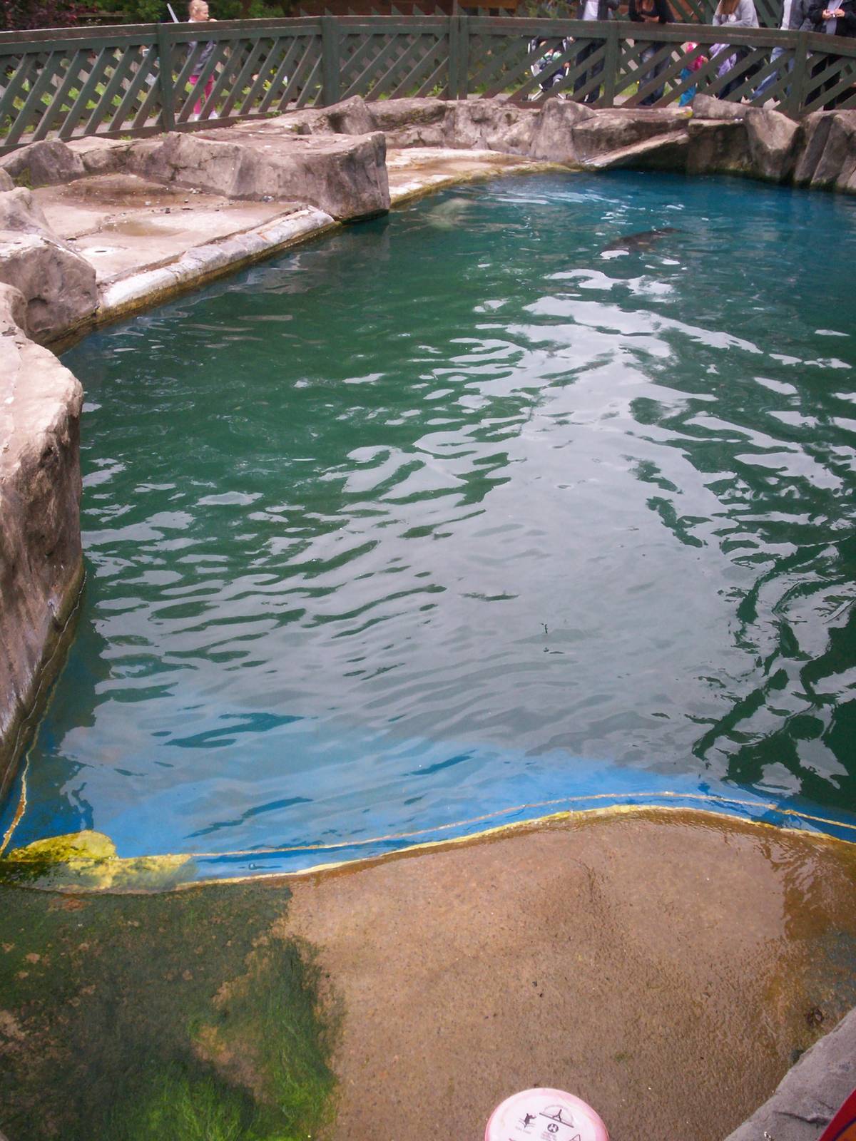 Scottish sea life centre, Oban 03/08/10