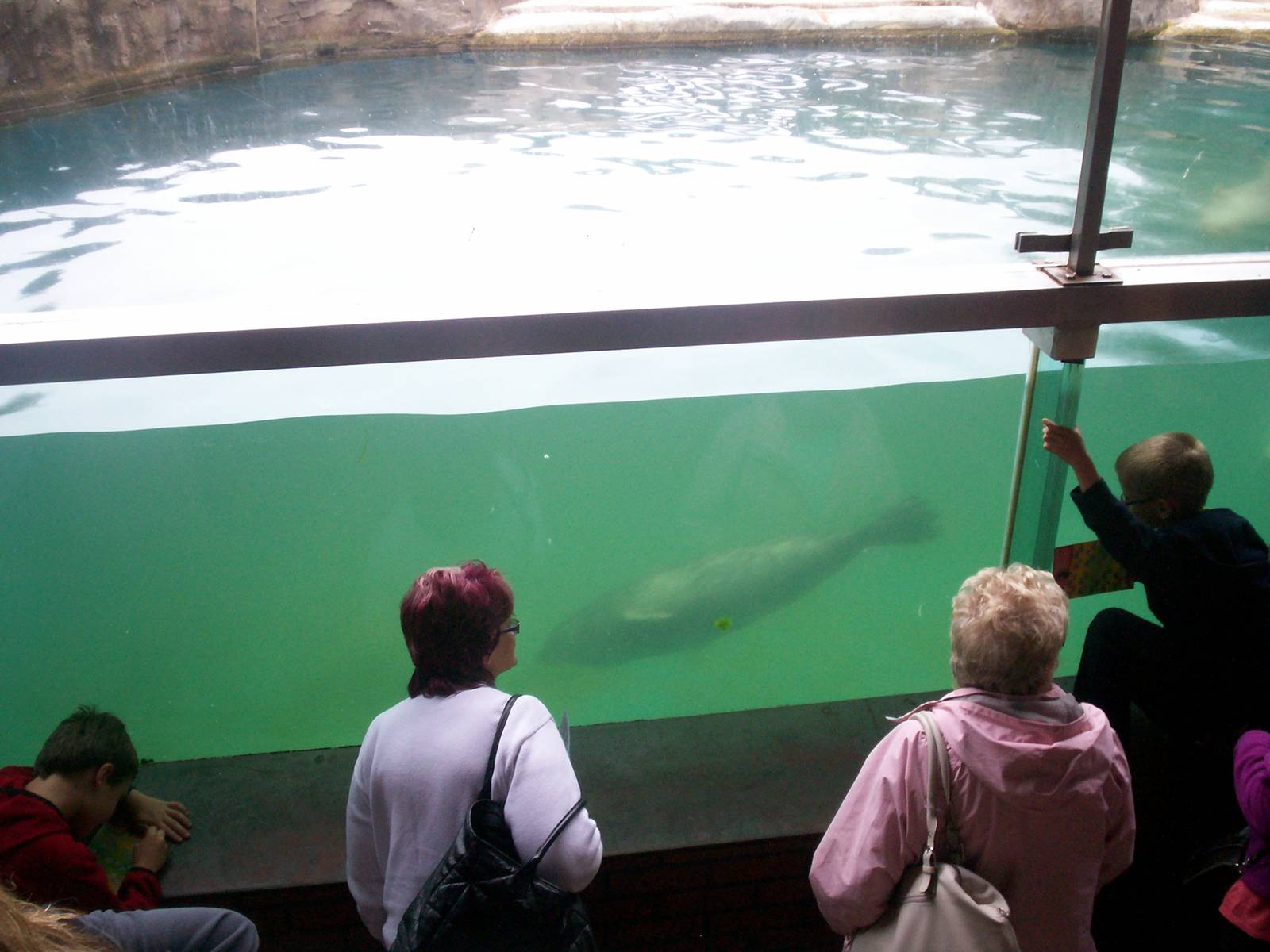 Scottish sea life centre, Oban 03/08/10
