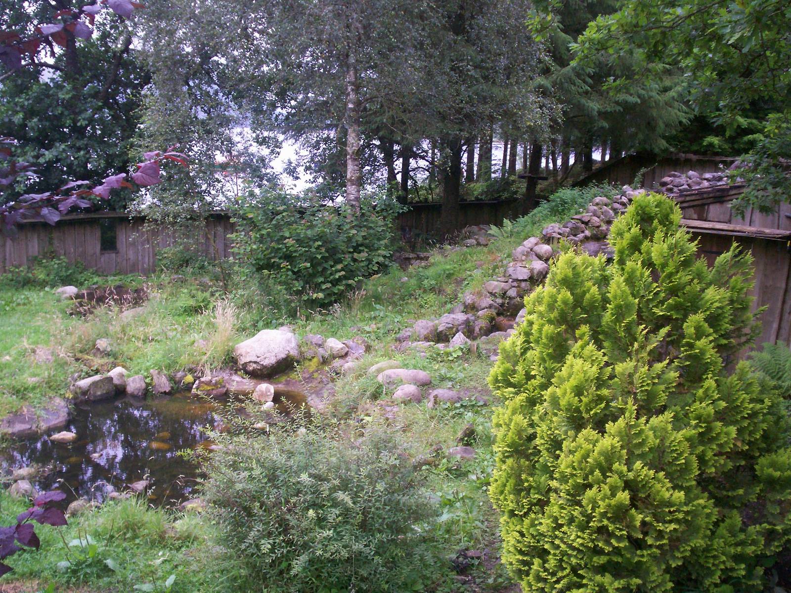 Scottish sea life centre, Oban 03/08/10