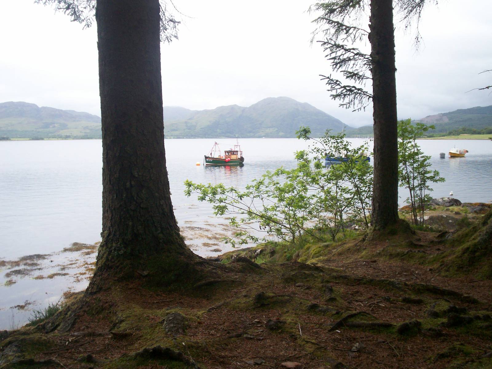 Scottish sea life centre, Oban 03/08/10