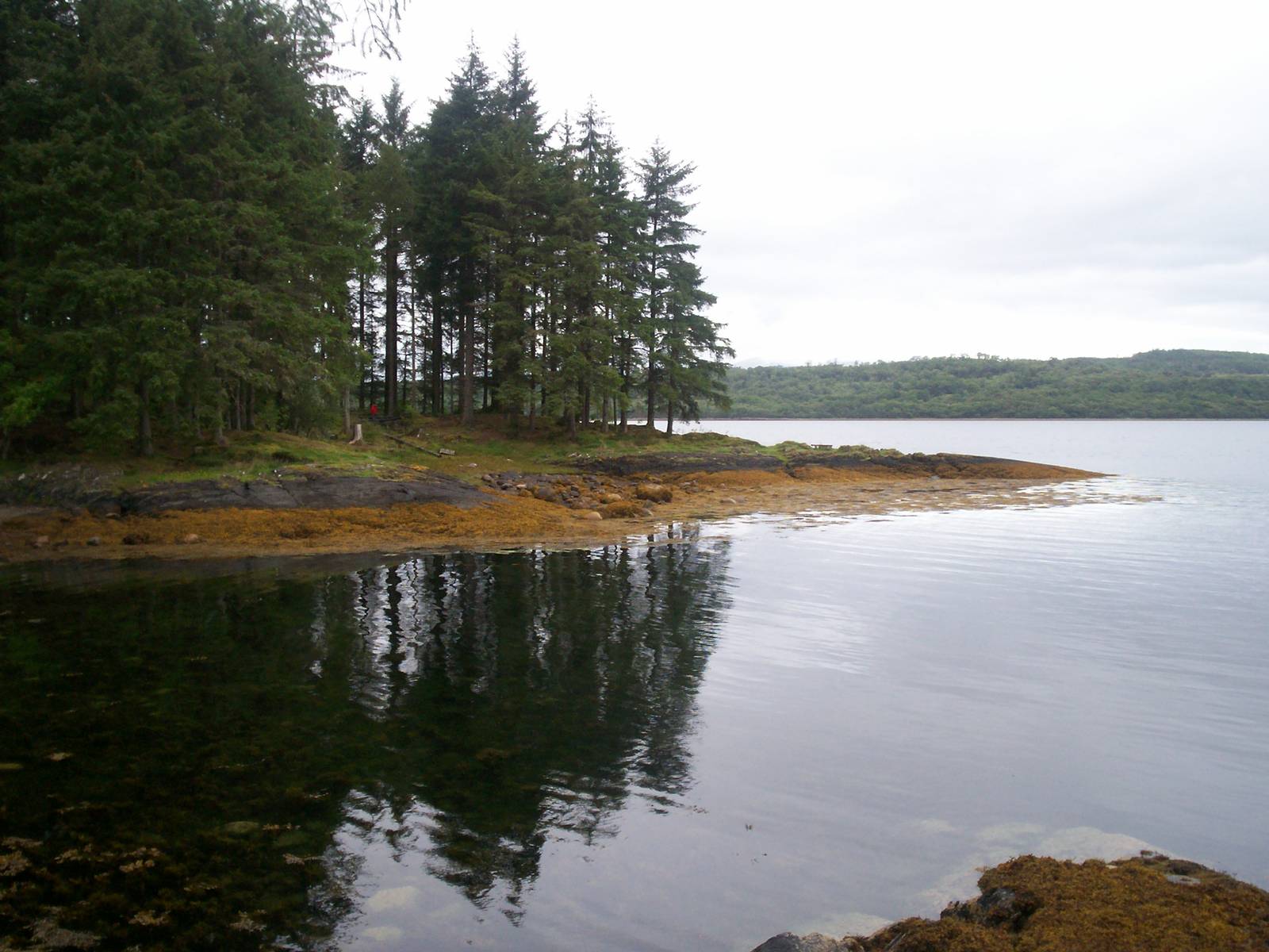 Scottish sea life centre, Oban 03/08/10
