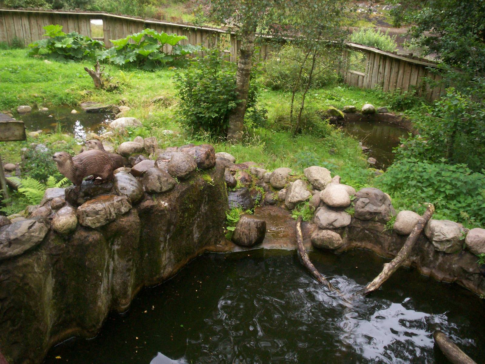 Scottish sea life centre, Oban 03/08/10