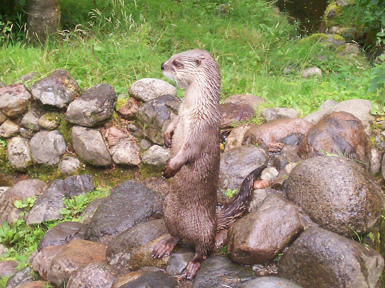 Scottish sea life centre, Oban 03/08/10