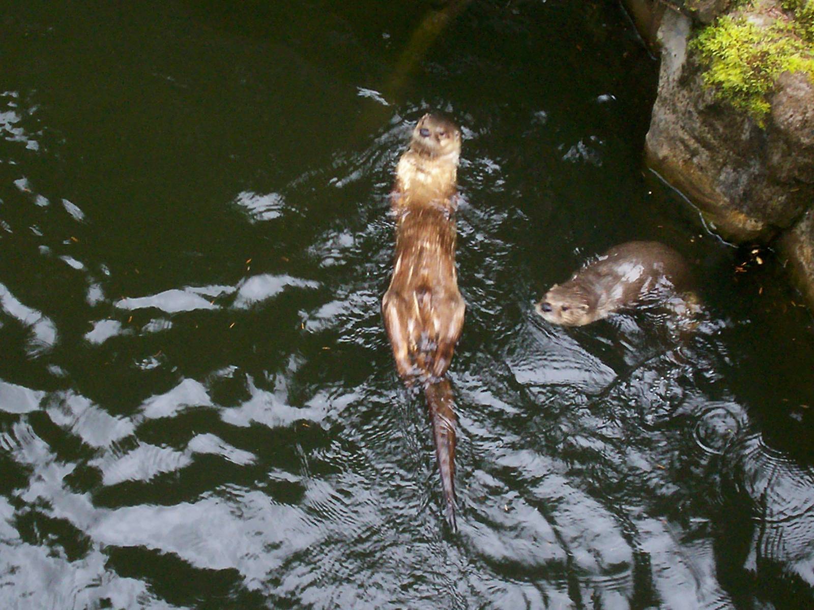 Scottish sea life centre, Oban 03/08/10