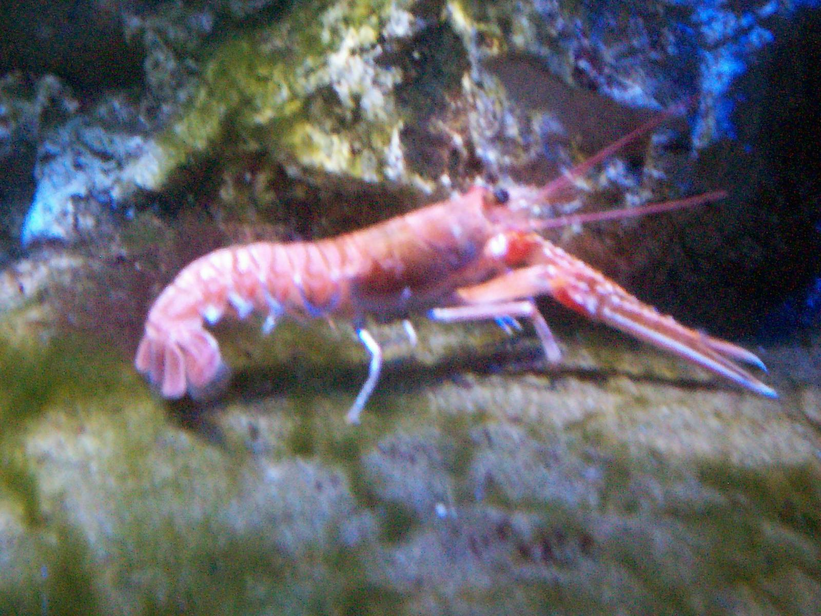 Scottish sea life centre, Oban 03/08/10