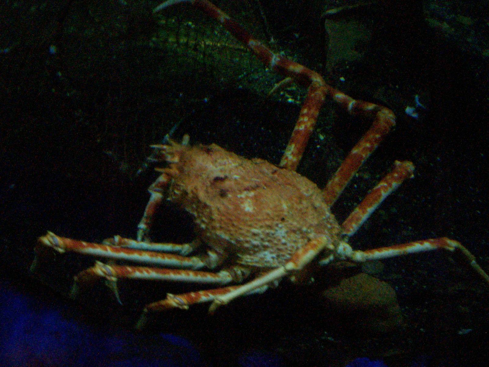 Scottish sea life centre, Oban 03/08/10