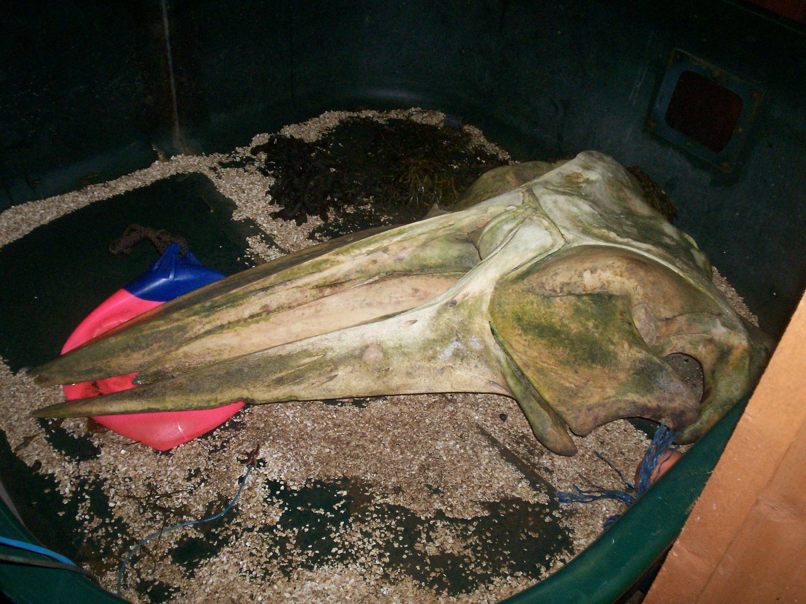 Scottish sea life centre, Oban 03/08/10