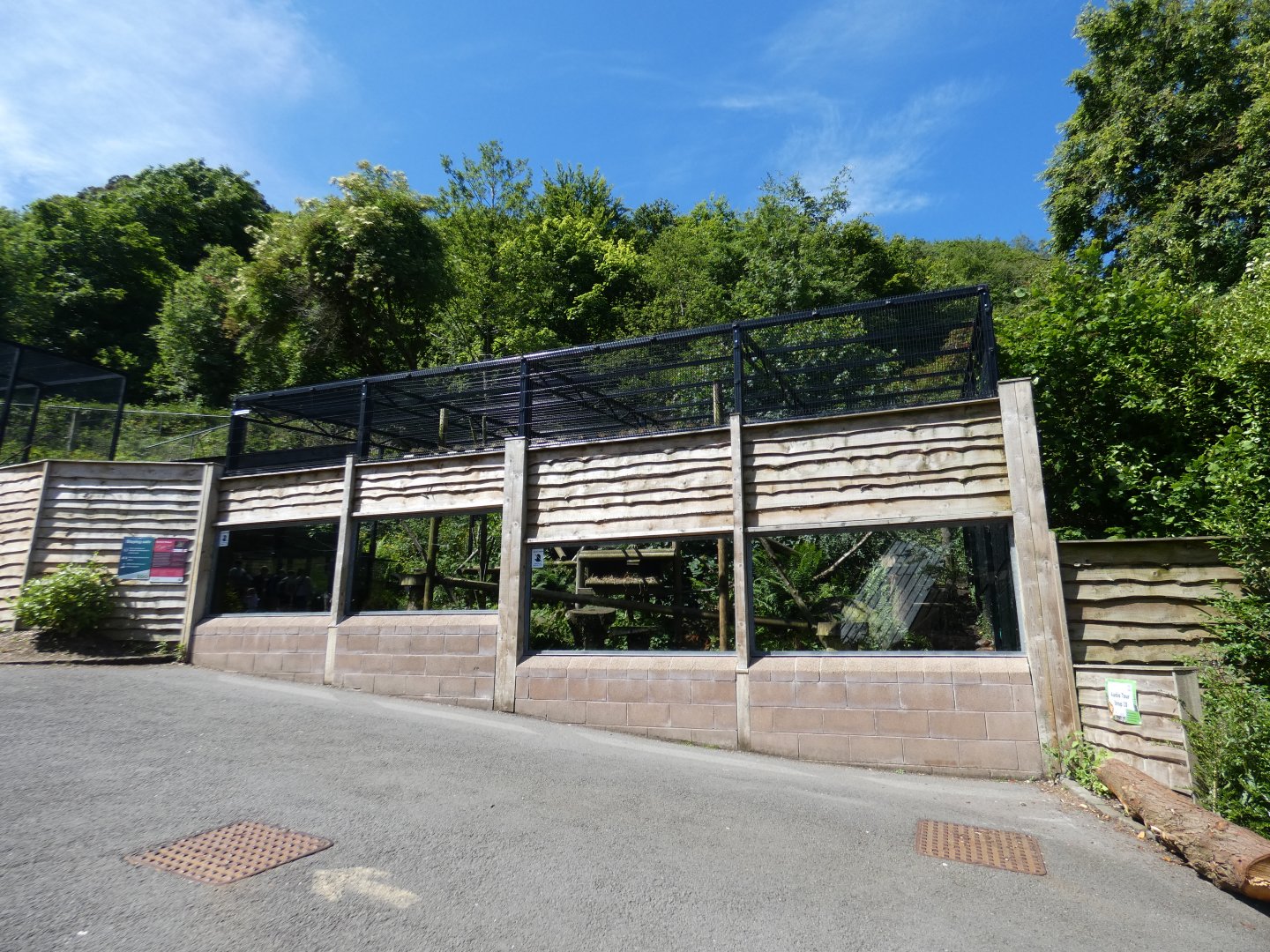 Scottish wild cat enclosure