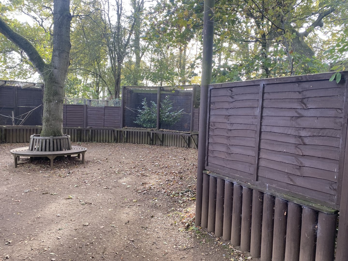 Scottish wildcat area 071121